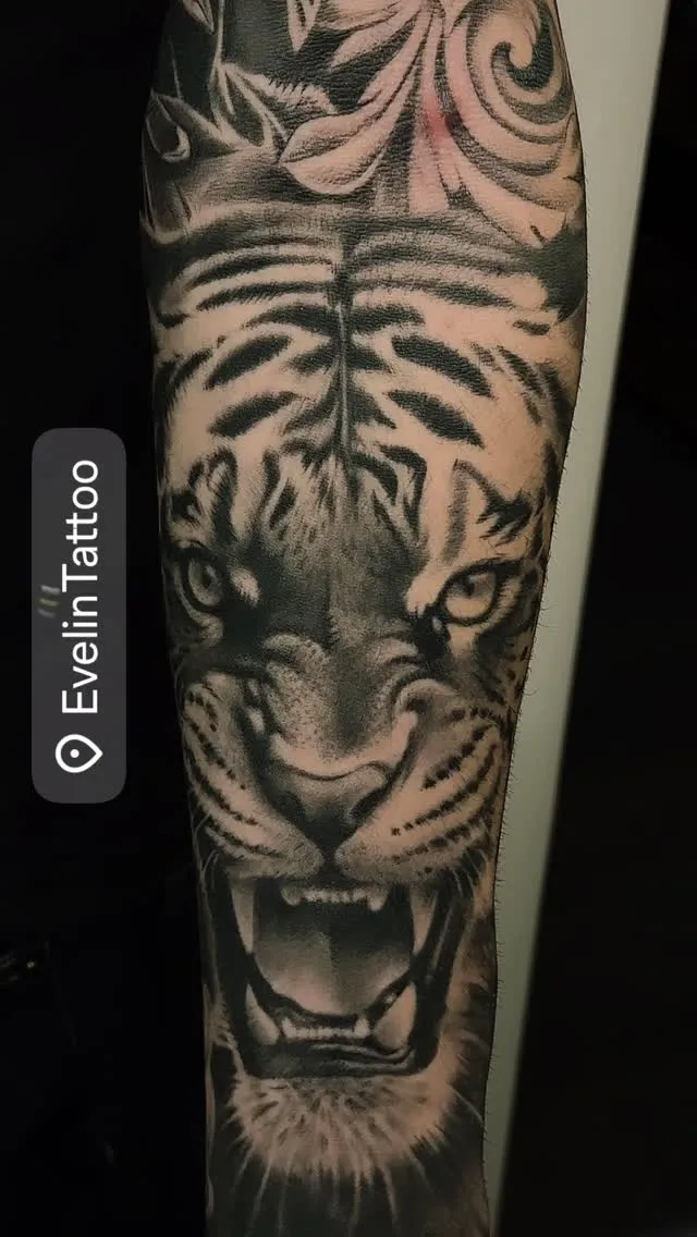 Tatuaggio realistico di tigre ruggente sull'avambraccio