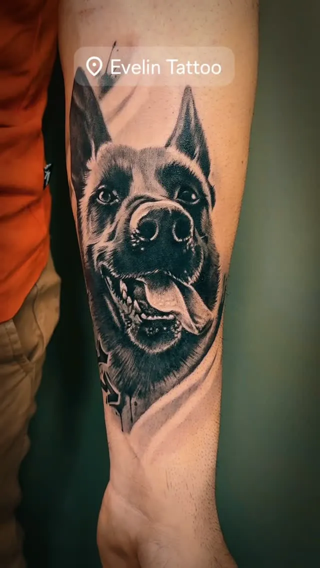 Ritratto realistico di un cane in black and grey su avambraccio